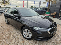 #Skoda#Octavia#Sedan#2.0#TDI#NAVI#PDC.TYL.PRZOD#LED#ALU#SUPERSTAN# Nowe Sójki - zdjęcie 7