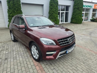 Mercedes ML 350 4Matic Ostrołęka - zdjęcie 3