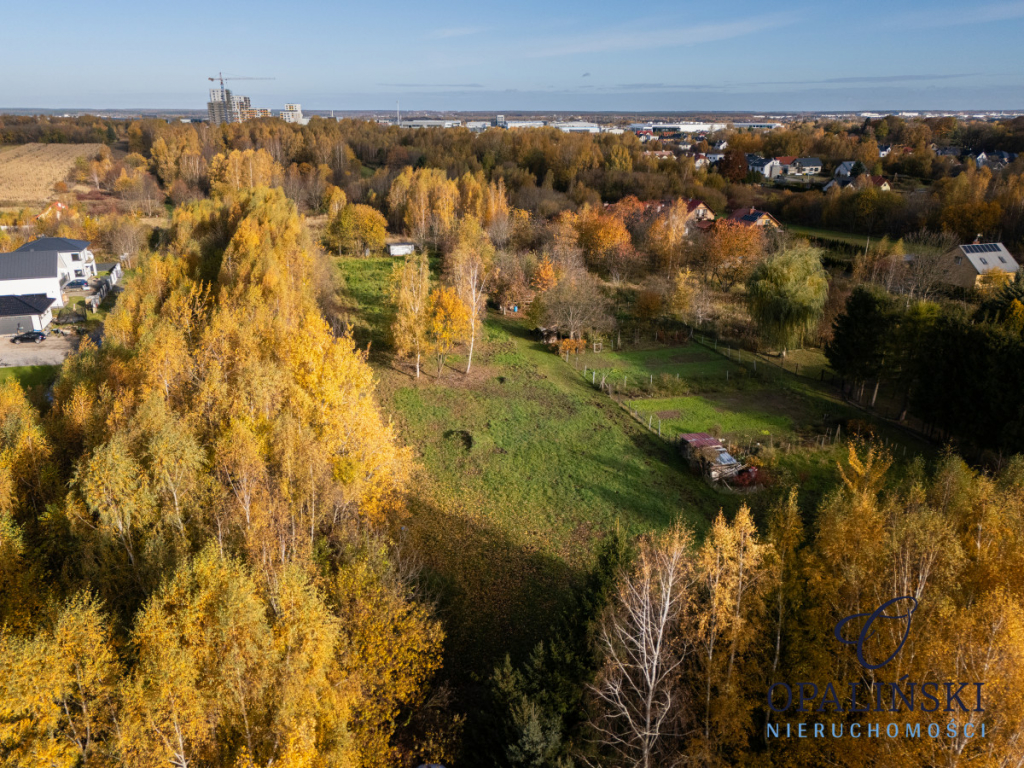 Kameralna okolica | Krakowska | WZ | Zieleń Rzeszów - zdjęcie 10
