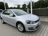 Volkswagen Golf 1,2 tsi   ładny świeżo zarejestrowany z Niemiec. Bolesławiec - zdjęcie 2