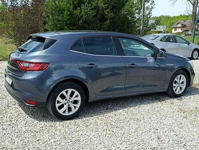 Renault Megane 1,3 Kamera, Nawigacja ,Serwis ,bdb stan Dulowa - zdjęcie 10
