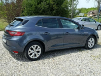 Renault Megane 1,3 Kamera, Nawigacja ,Serwis ,bdb stan Dulowa - zdjęcie 10