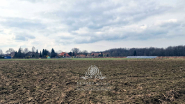 Działka siedliskowa 3000m2 z MPZP gm. Kąty Wrocławskie, Sokolniki Sokolniki - zdjęcie 10