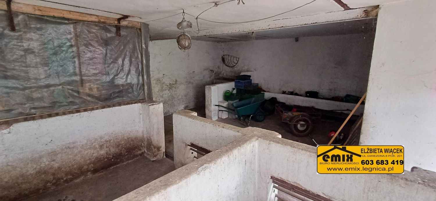 Działka z domem i możliwością jego rozbudowy - 5 km od Chojnowa Chojnów - zdjęcie 7