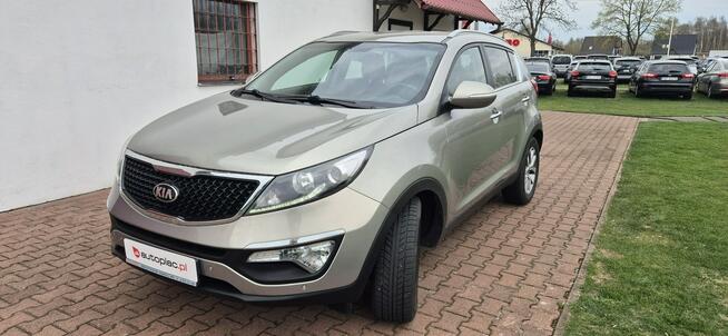 Kia Sportage ŚWIETNY STAN-KAMERA-NAVI-NAGŁOSNIENIE Paproć - zdjęcie 3