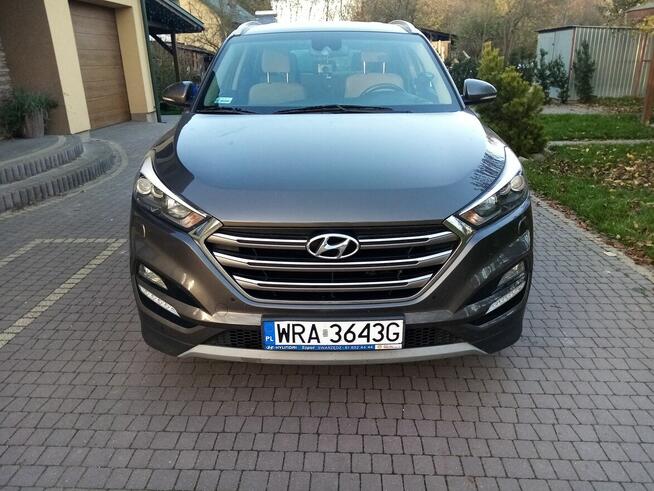 Sprzedam Pionki - zdjęcie 2