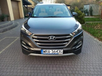 Sprzedam Pionki - zdjęcie 2