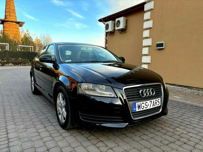 Audi A3 Lift 1.9 TDI DSG 5 Drzwi Serwis Zagnańsk - zdjęcie 3