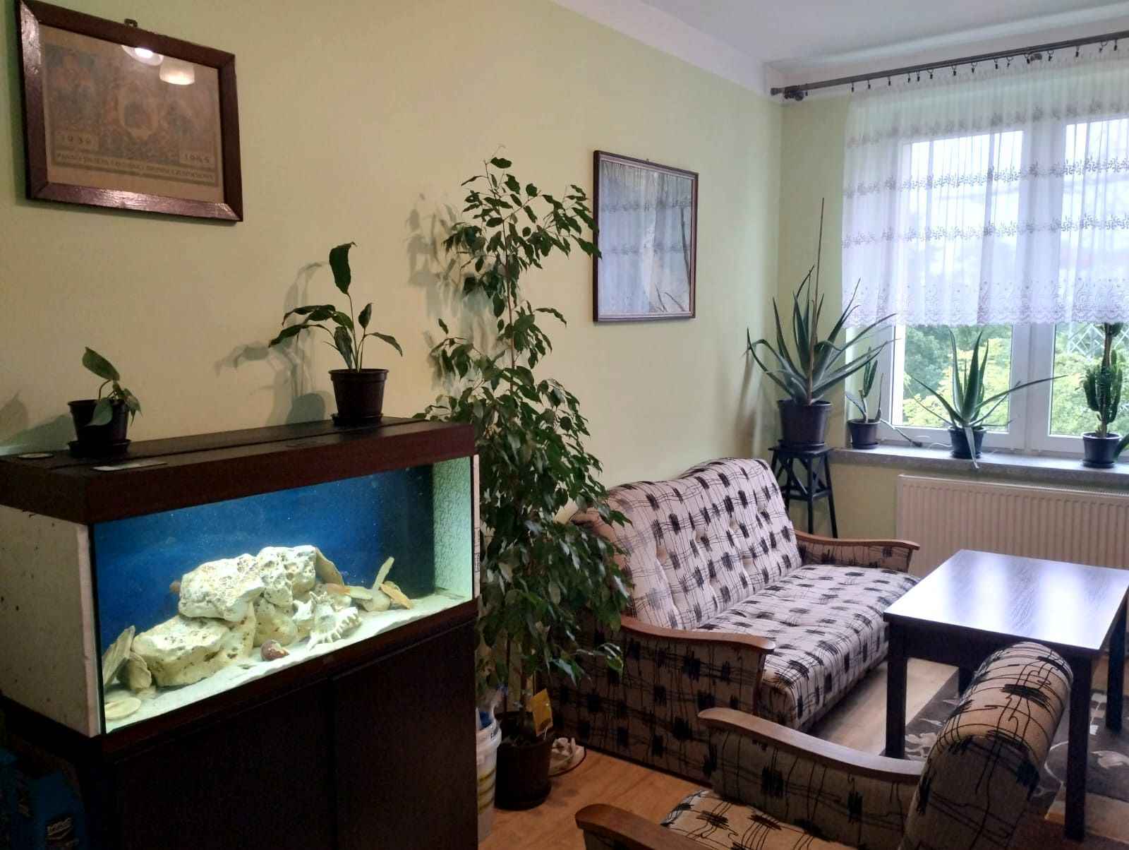 3pok, 65met, Okolice Babimojskiej PIWNICA/KOMÓRKA (Wrocław) Fabryczna - zdjęcie 6