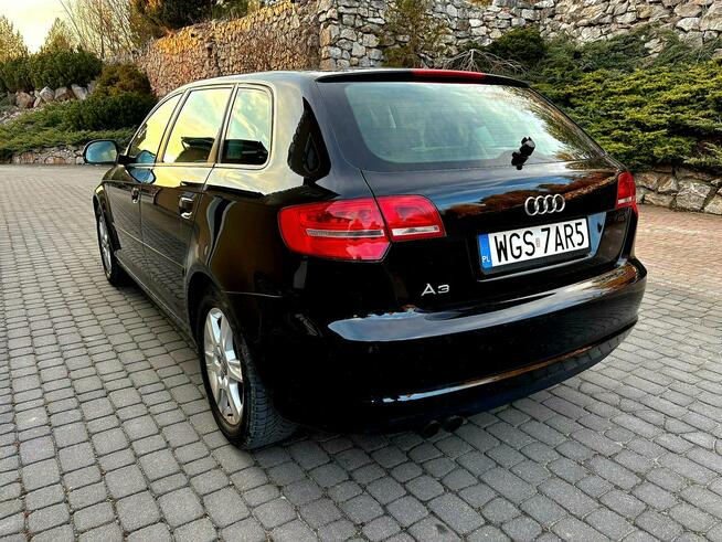 Audi A3 Lift 1.9 TDI DSG 5 Drzwi Serwis Zagnańsk - zdjęcie 6