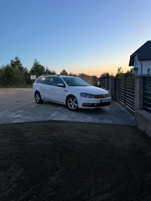 Mega Passeratti B7 Cedry Małe - zdjęcie 6