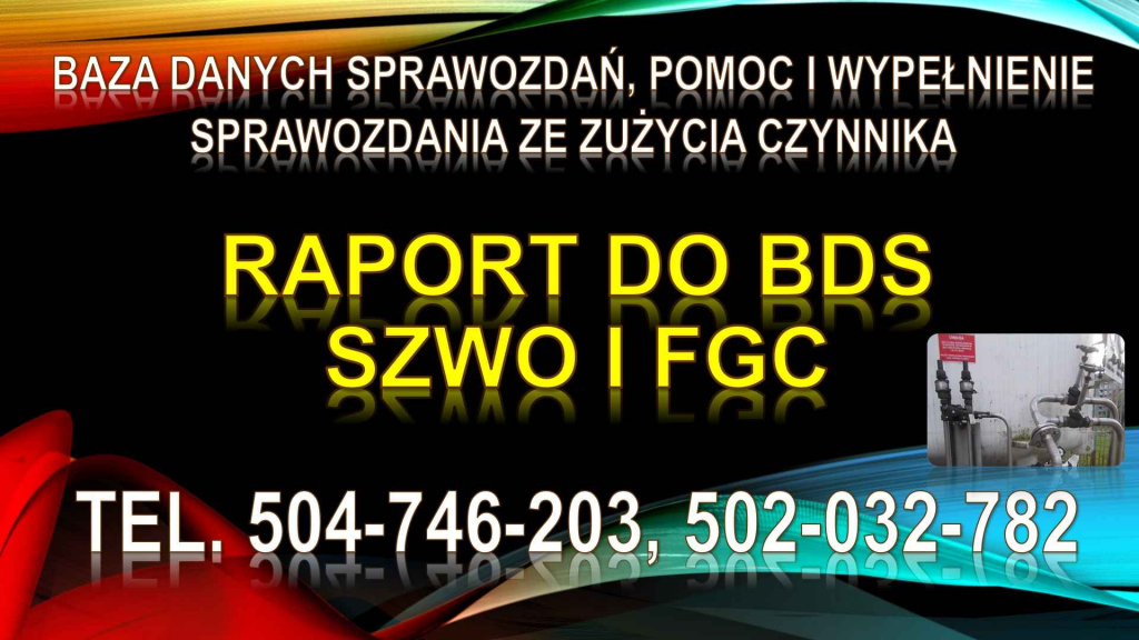Sprawozdanie  SZWO i FGC, tel. 504-746-203, do Bazy Danych Sprawozdań. Psie Pole - zdjęcie 2