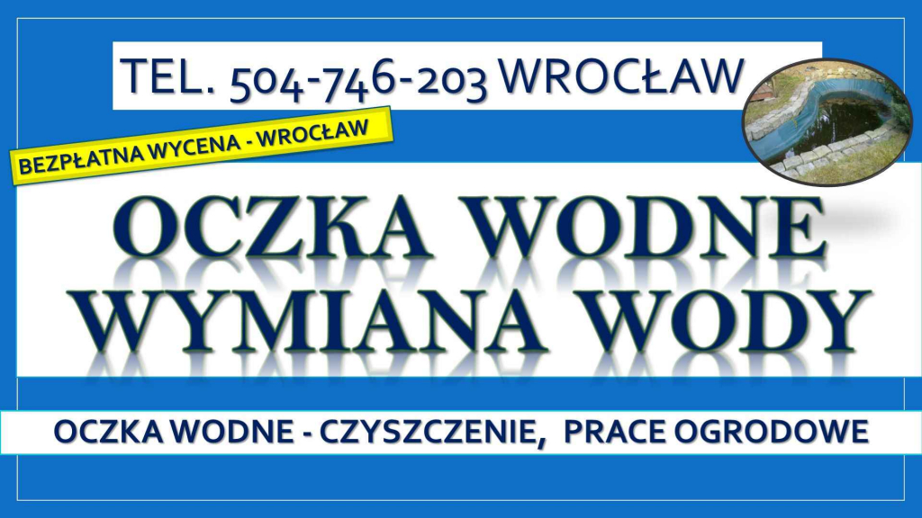 Czyszczenie oczek wodnych,Wrocław,504746203,Oczyszczenie oczka wodnego Psie Pole - zdjęcie 3