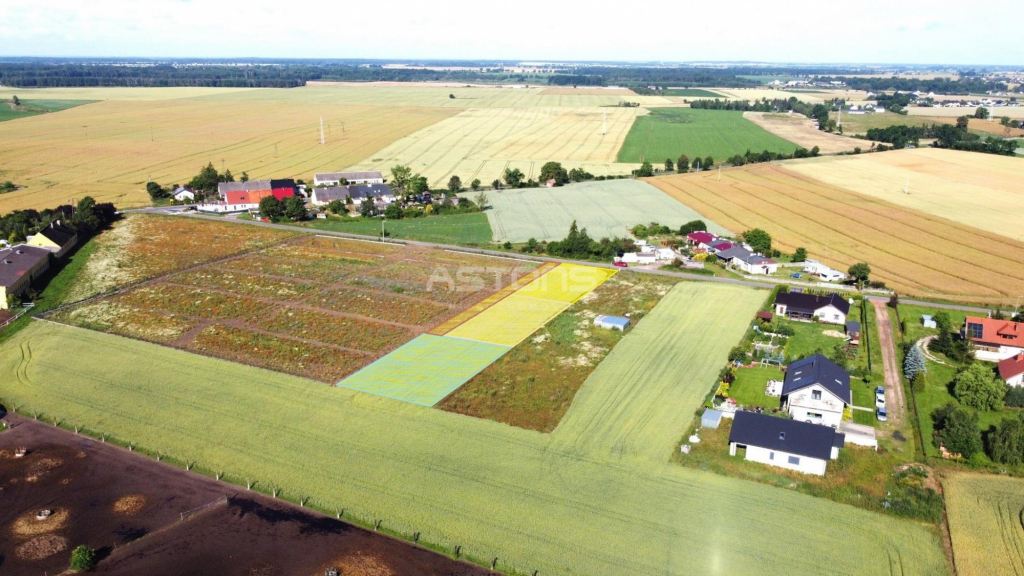 ATRAKCYJNA DZIAŁKA, LOKALIZACJA! Tarnowo Podgórne - zdjęcie 9