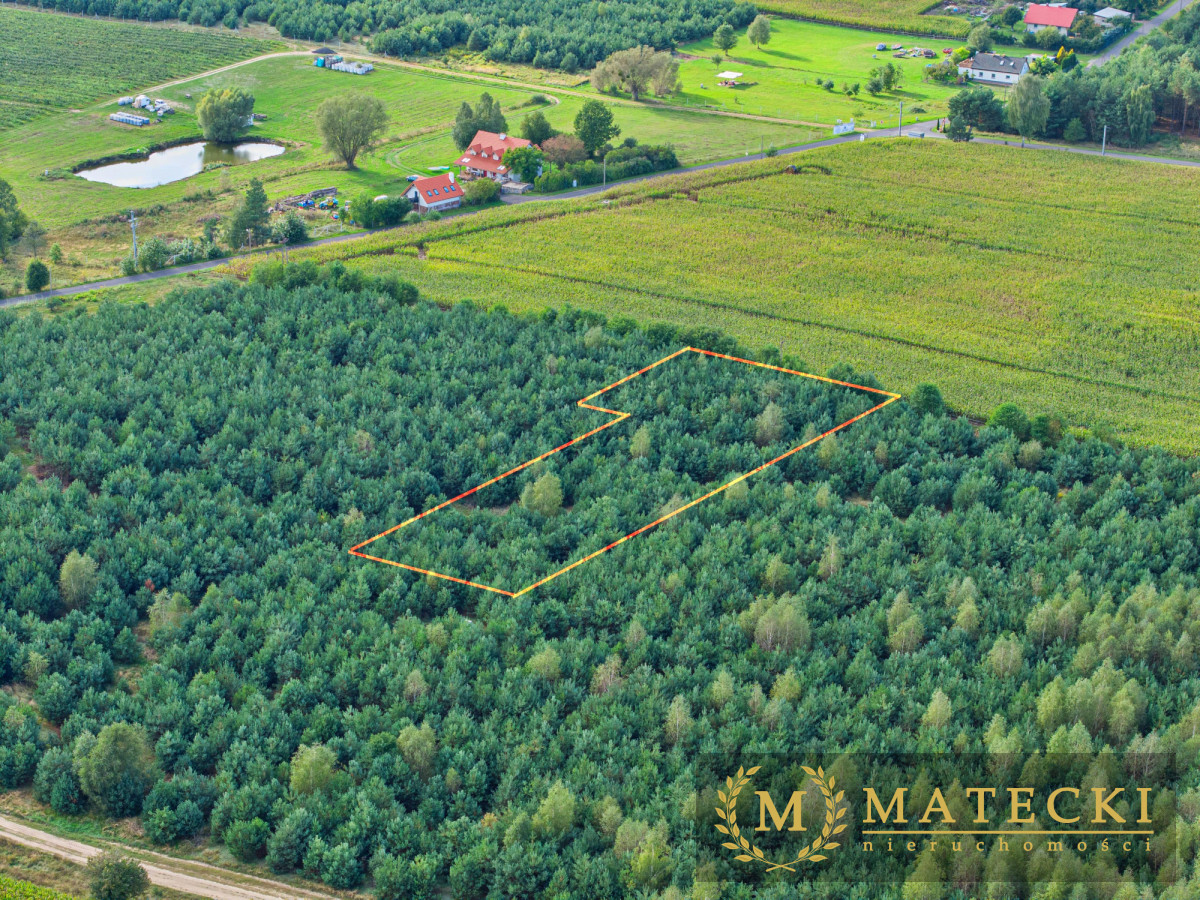 Wyjątkowa, duża działka z drzewami Karczewko - zdjęcie 10