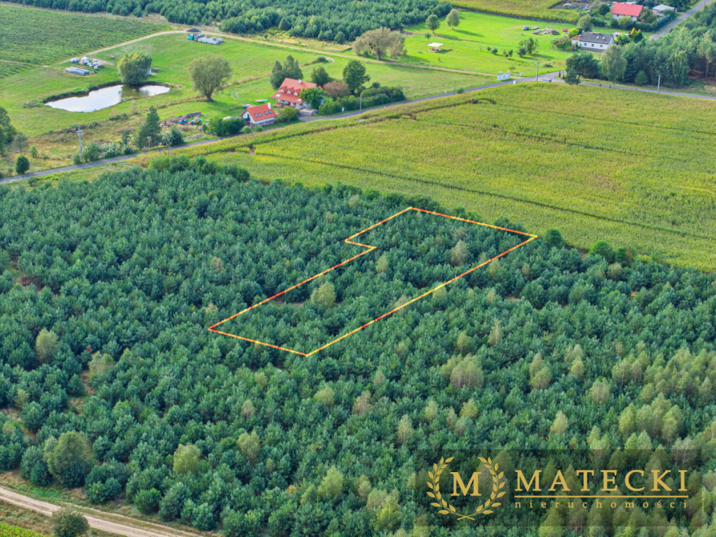 Wyjątkowa, duża działka z drzewami Karczewko - zdjęcie 10