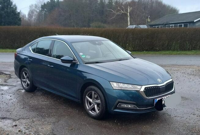 Škoda Octavia 2,0 benzyna 190hp DSG Sadlno - zdjęcie 3