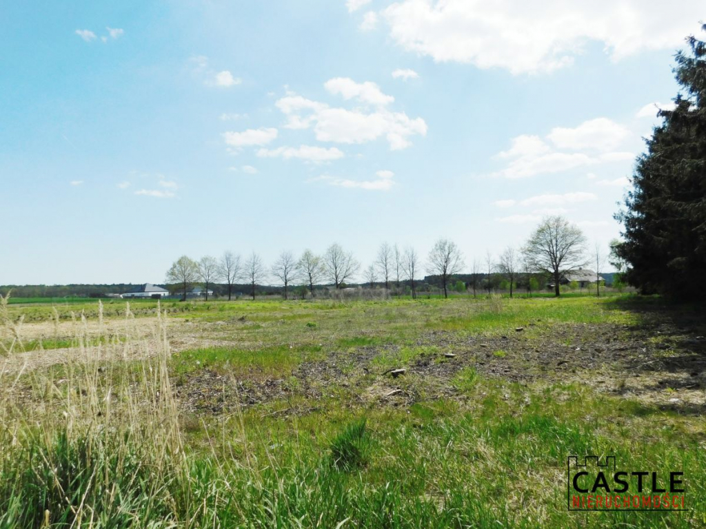 Zamieszkaj w sąsiedztwie lasu Mieściska - zdjęcie 1