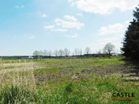 Zamieszkaj w sąsiedztwie lasu