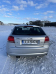 Audi a3 8p 1.9 TDI Helenów - zdjęcie 3