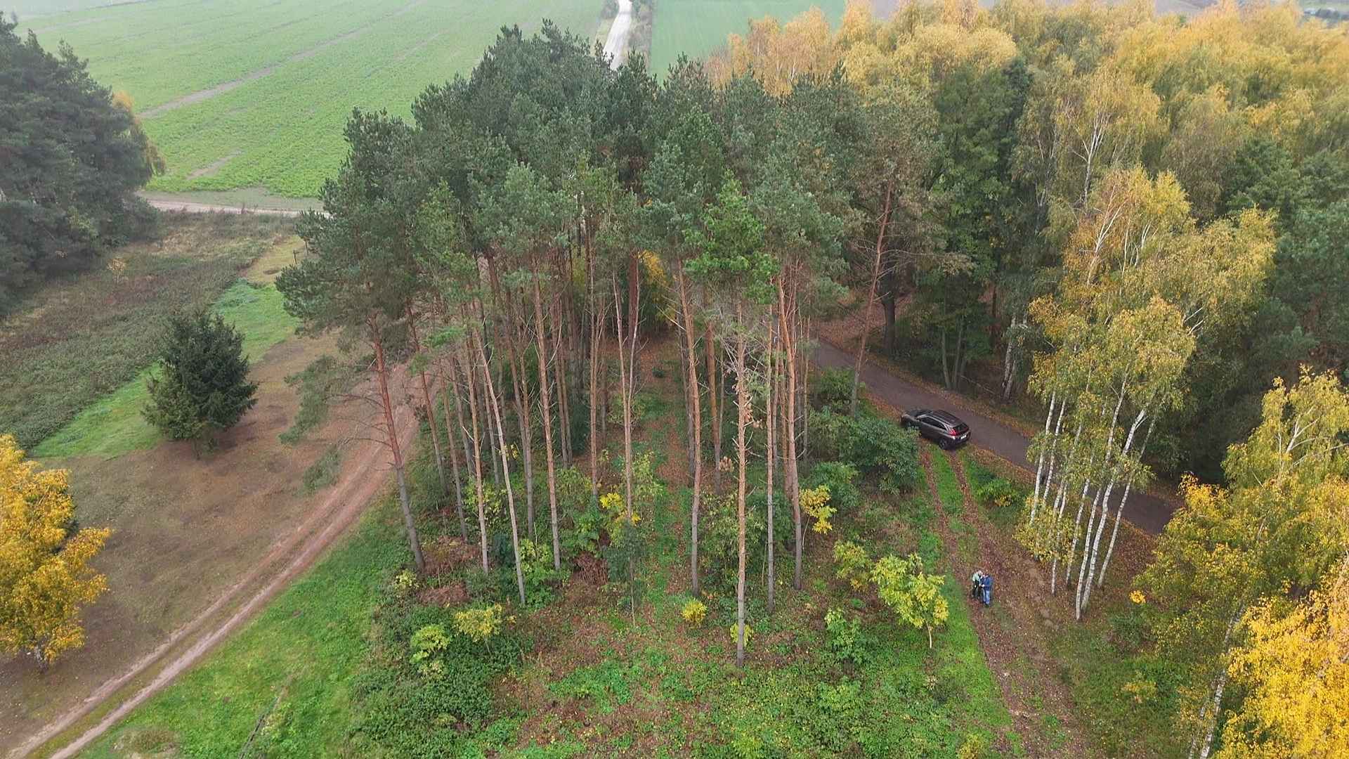sprzedam działkę  o pow. 3781 m2  z warunkami zabudowy Turzno - zdjęcie 2