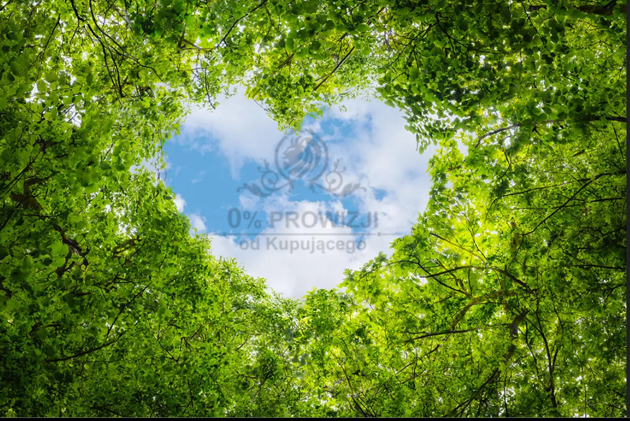 Piękne mieszkanie w doskonałej lokalizacji z balkonem Wrocław - zdjęcie 12