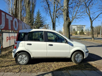 Fiat Panda Łódź - zdjęcie 2