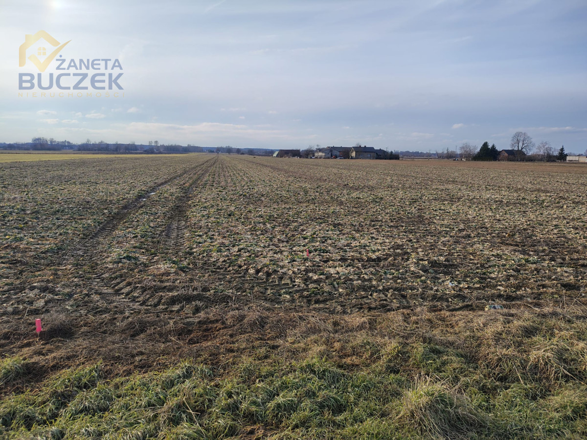 Sprzedam działkę o pow. 7722 m2 w Bronisławach Bronisławy - zdjęcie 3