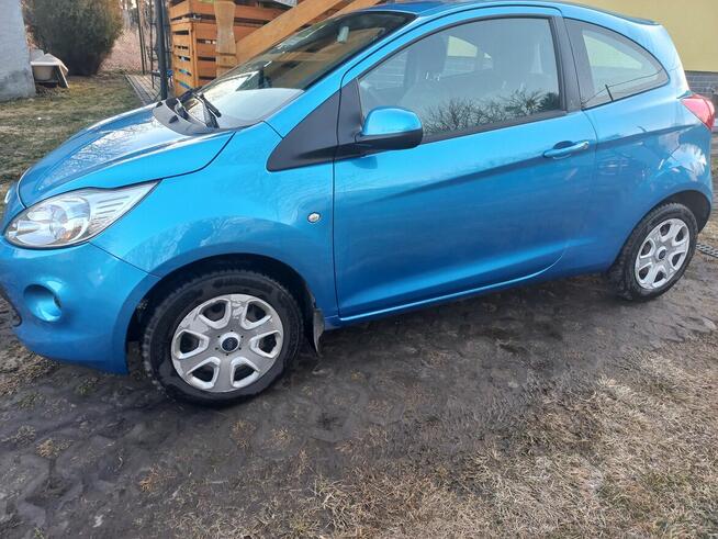 Ford ka 2 Werbkowice - zdjęcie 8
