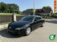 Audi A4 2,0 tdi sedan   świeżo zarejestrowana