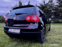 Volkswagen Golf V (Golf 5) Wrocław - zdjęcie 3