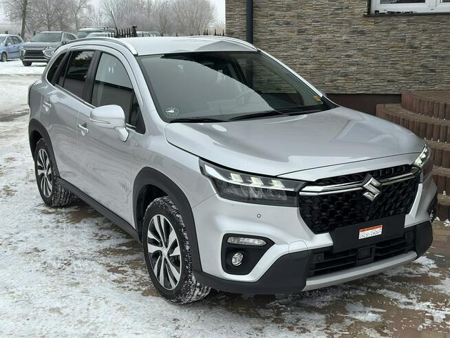 Suzuki SX4 S-Cross Sadlno - zdjęcie 5