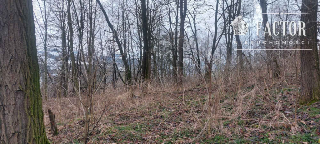 Sędziszowa działka budowlano-rolna 0,8 ha 1164S/2026 Sędziszowa - zdjęcie 4