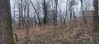 Sędziszowa działka budowlano-rolna 0,8 ha 1164S/2026 Sędziszowa - zdjęcie 4