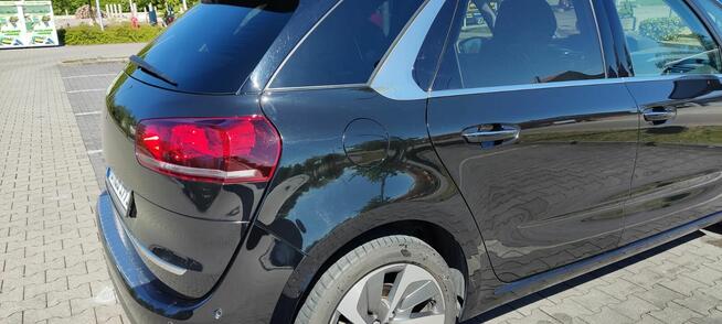 Sprzedam Moją Cytrynkę Nowe Miasto Lubawskie - zdjęcie 4