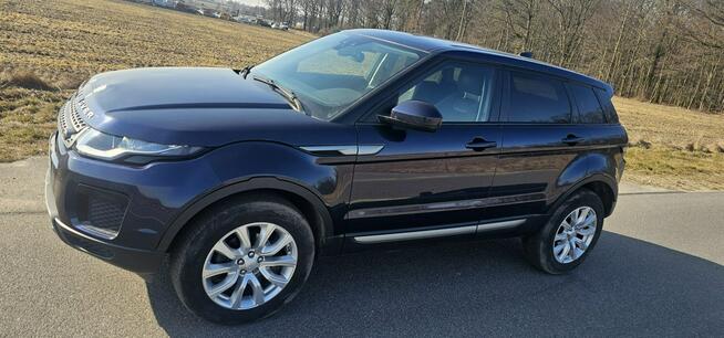 Land Rover Range Rover Evoque 97000km !! Pleszew - zdjęcie 3