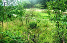 Zainwestuj na obszarze Natura 2000 Puszcza Notecka Marylin - zdjęcie 6