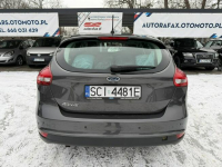 Ford Focus Klimatyzacja, PL salon, Pierwzy właściciel, 2 kpl. kół Cieszyn - zdjęcie 10