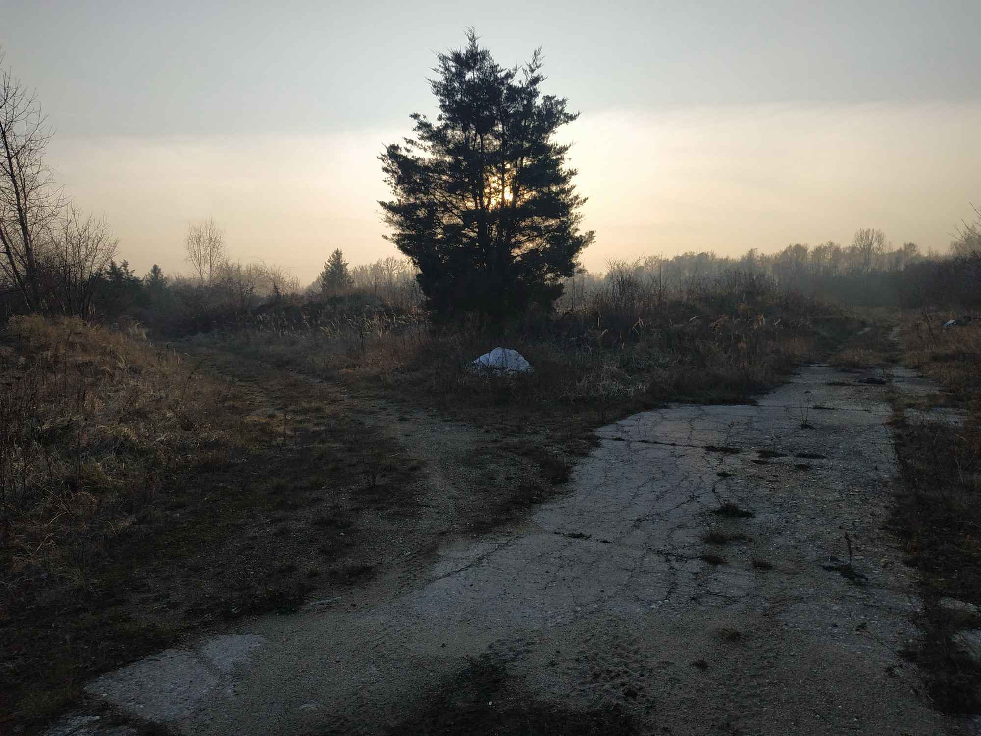 Nieruchomość na sprzedaż Kamiennik - zdjęcie 7