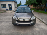 Honda CR-V EXECUTIVE, skóra, ksenon, panorama, automat Janów Lubelski - zdjęcie 10