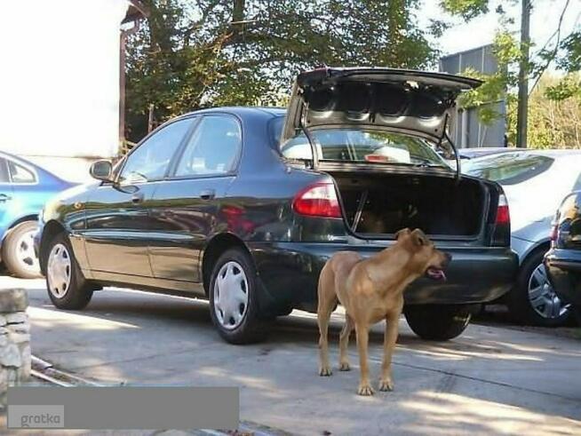 Daewoo Lanos BEZWYPADKOWY serwisowany 65tys.kmStan idealny Skawina - zdjęcie 4