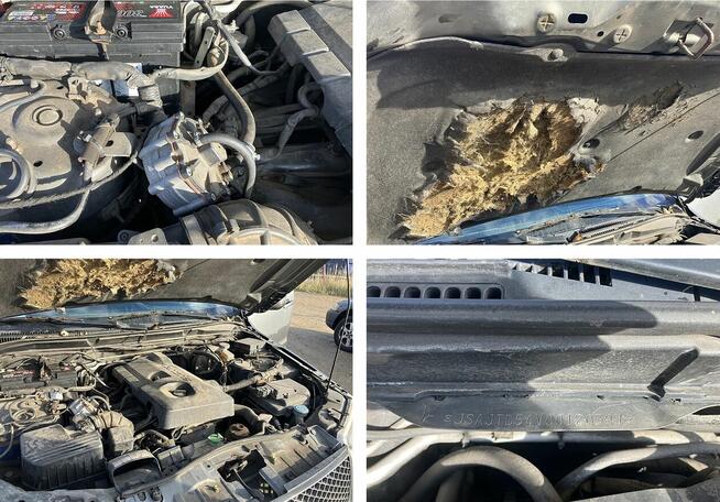 Suzuki Grand Vitara - 2006 r. Częstochowa - zdjęcie 7