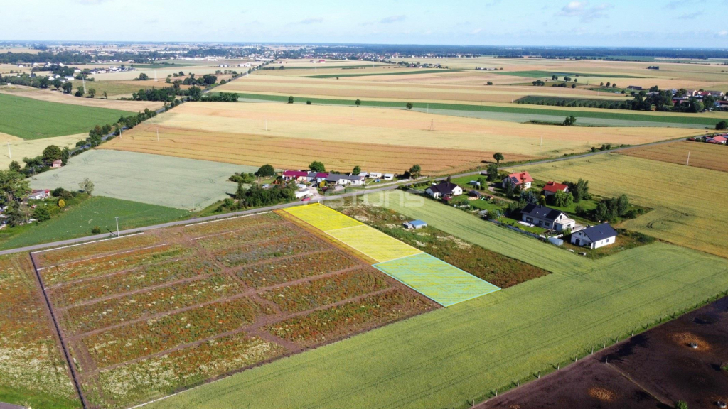 ATRAKCYJNA DZIAŁKA, LOKALIZACJA! Tarnowo Podgórne - zdjęcie 8
