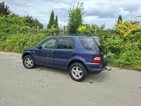 Mercedes ML 270 CDI 2.7 Diesel Automat | Hak | Po dużym serw Krokowa - zdjęcie 2