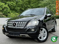 Mercedes ML 320 Xenon LIFT Climatronic Navi Gwarancja