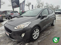 Ford Fiesta 1.0 Turbo 100KM 5drzwi Ładna