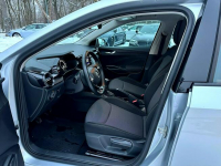 Škoda Fabia 1.0 Ambition 80KM, Salon PL, Serwis, Iwł, FV23% Pęcice - zdjęcie 11