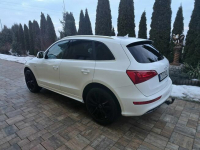 Audiq5 Kazimierza Wielka - zdjęcie 2