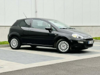 Fiat Punto Evo 1.2 Benz. po serwisie Mikołów - zdjęcie 8