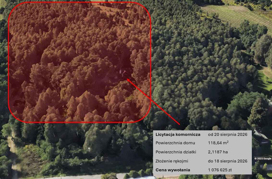 Blisko Łodzi, las, ogromna działka, licytacja komornicza Plichtów - zdjęcie 2